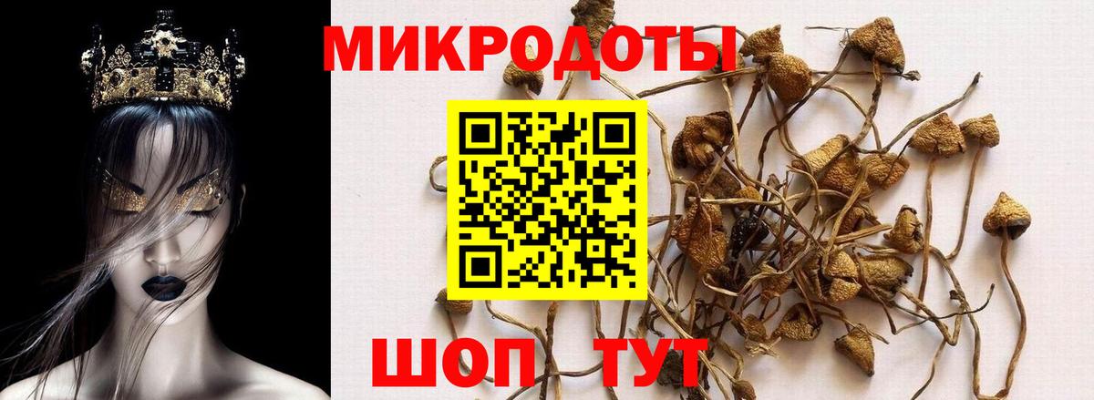 Галлюциногенные грибы Psilocybine cubensis  купить наркотик  Вход с VPN  Кореновск  Псилоцибиновые грибы ЛСД 