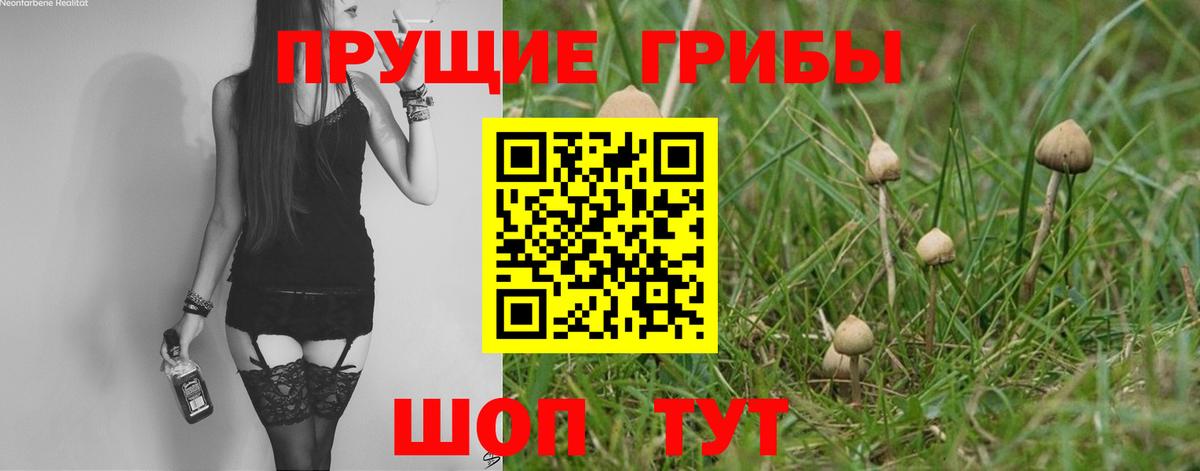 Псилоцибиновые грибы ЛСД Кореновск